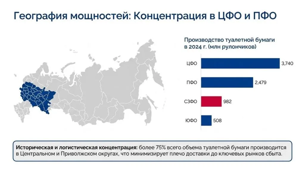 2. Russian_Paper_Hygiene_Strategic_Review_20242025-5.jpg