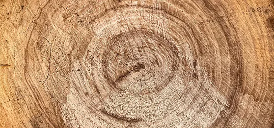 Механика междискового зазора в размольном оборудованиие