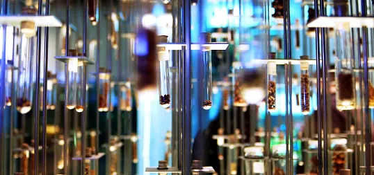 Новый подход к обезвоживанию черного щелокае