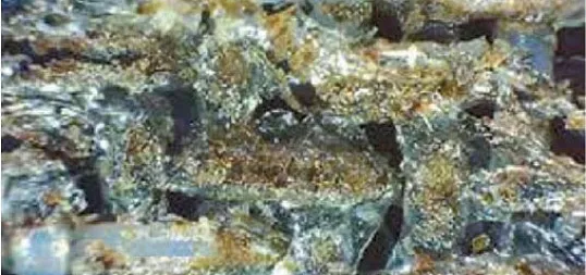 Лучшие практики по очистке формовочной сетки и суконе