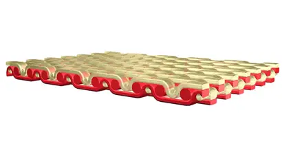 vdf-ssh_768x432.jpg.jpg