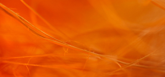 Сравнение способности к размолу волокнистых полуфабрикатов в лабораторных стандартизированных условиях е