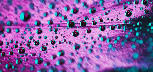 Наночастицы в гофроупаковке: практический смысл примененияе