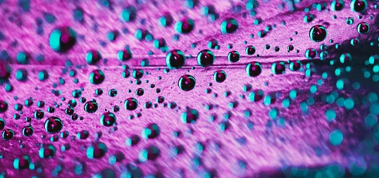 Наночастицы в гофроупаковке: практический смысл применения