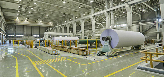 Опыт создания комплексной автоматизированной системы для Светогорского ЦБКе