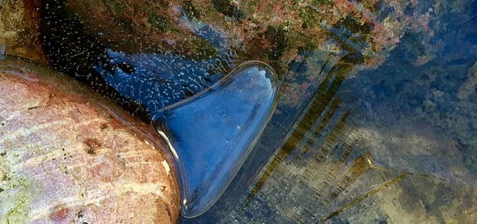 Объём производственного экологического контроля сточных вод е